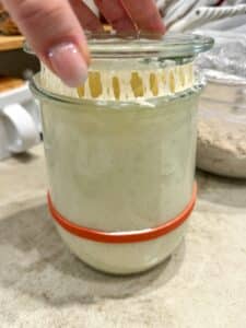 Is My Sourdough Starter Ready to Bake With? How I Can Tell - That