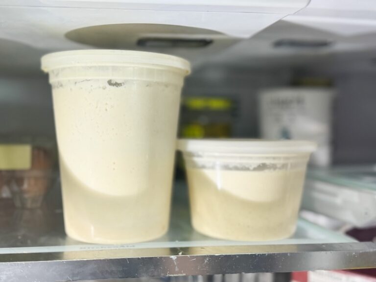 The Truth About Probiotics In Sourdough Bread - That Sourdough Gal