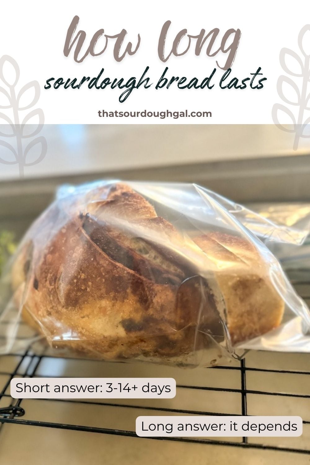 How Long Does Sourdough Bread Last? + Storing Tips - That Sourdough Gal
