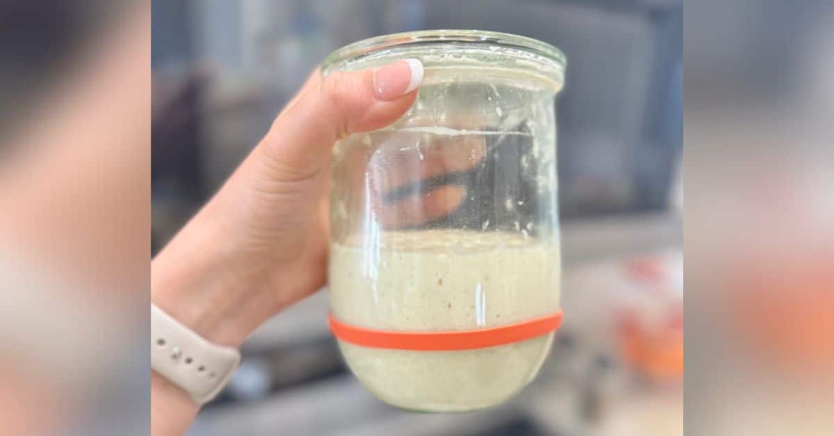 how-to-feed-sourdough-starter-without-a-scale-so-easy-that