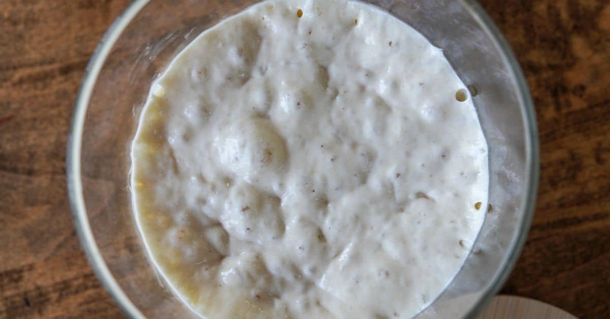 The Ultimate Guide To Sourdough Starter Feeding Ratios That Sourdough Gal the-ultimate-guide-to-sourdough-starter-feeding-ratios-that-sourdough-gal