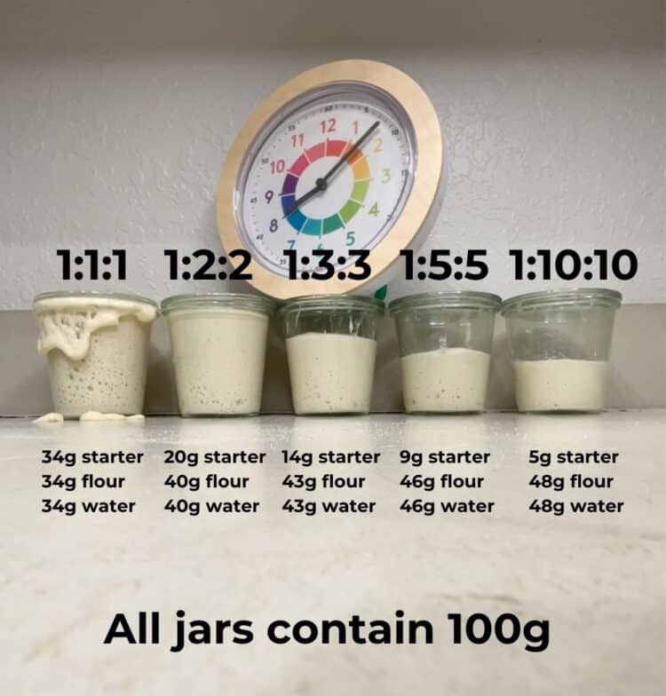 the-ultimate-guide-to-sourdough-starter-feeding-ratios-that-sourdough-gal