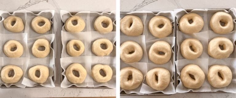 sourdough bagels before after second proof