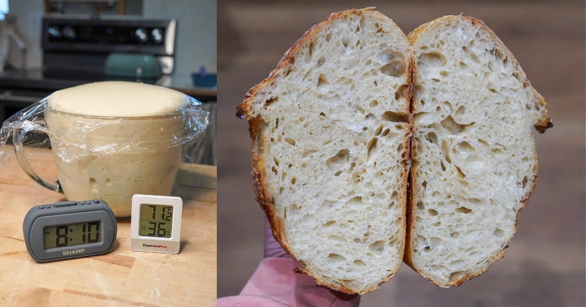 Same Day Sourdough Bread Quick Easy Recipe That Sourdough Gal Overnight Sourdough Bread Recipe