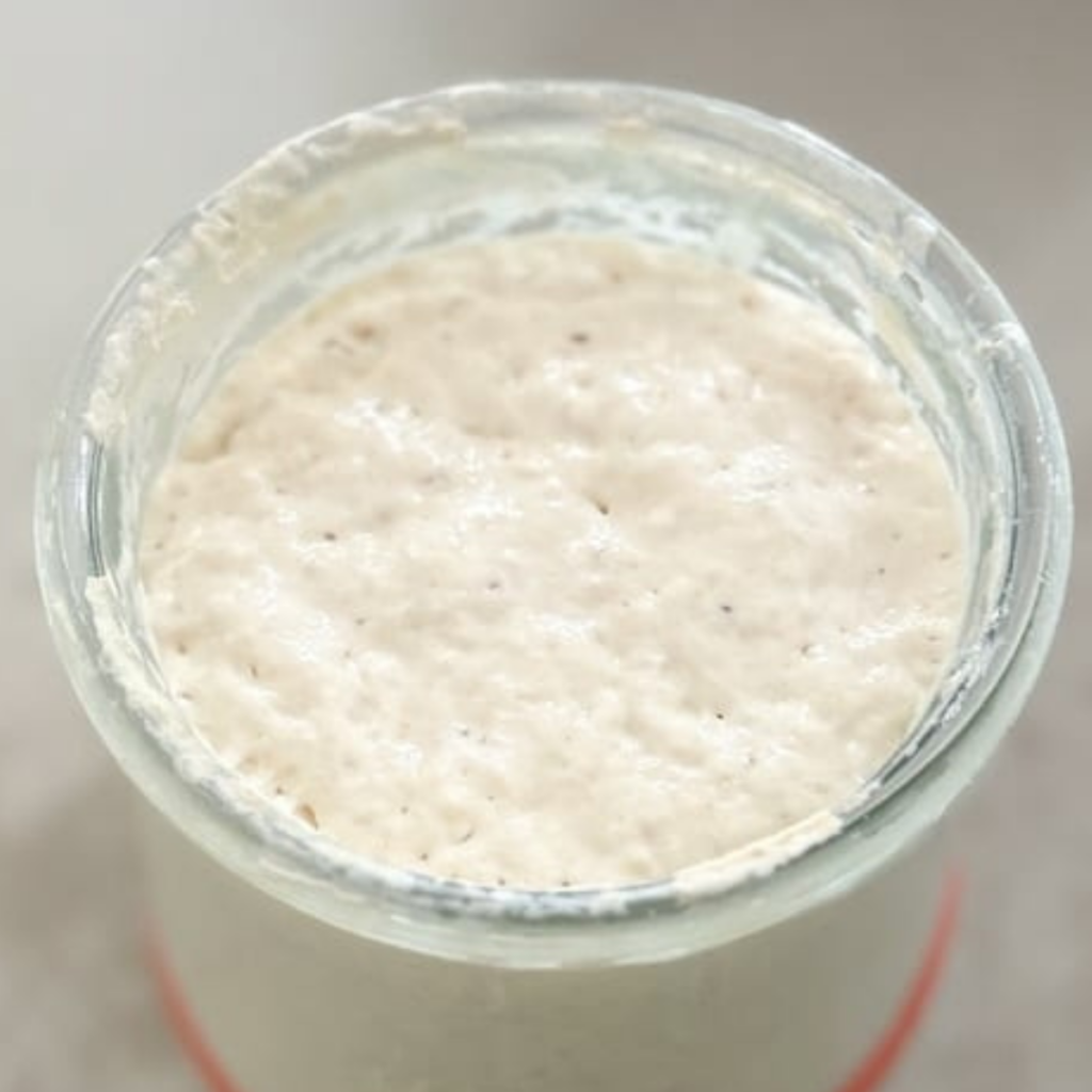 sourdough-starter