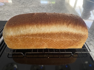 also jane sourdough wonderbread v2