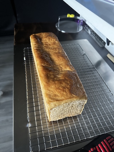 ana sourdough wonderbread