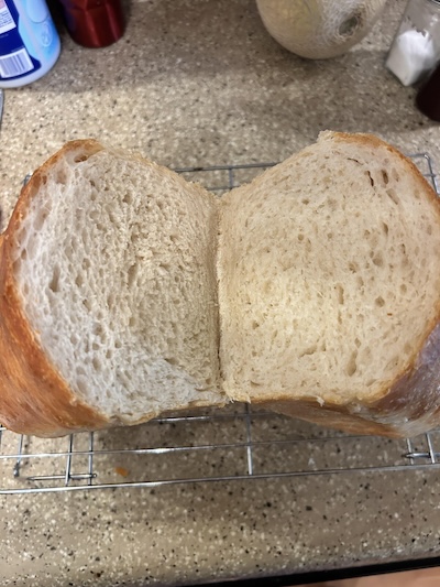 eileen sourdough wonderbread