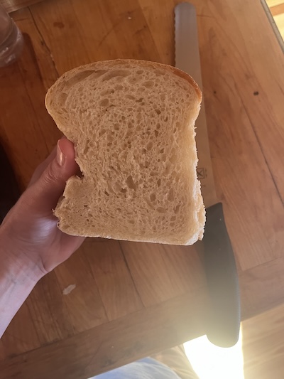hannah sourdough wonderbread