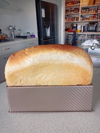 joy sourdough wonderbread v2
