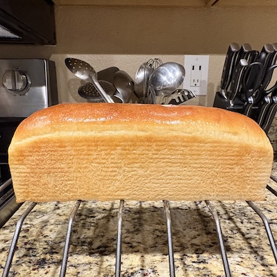 lisa sourdough wonderbread v2
