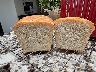maureen sourdough wonderbread