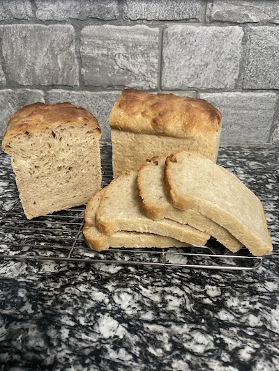 misty sourdough wonderbread v2