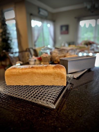 peggie sourdough wonderbread