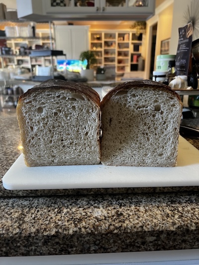 robin sourdough wonderbread v2