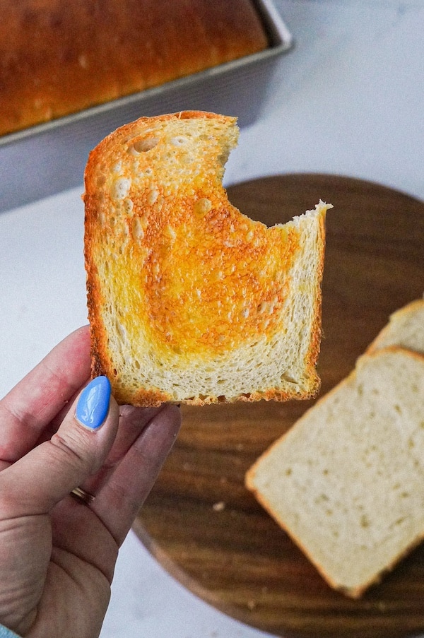 softest sourdough sandwhich bread