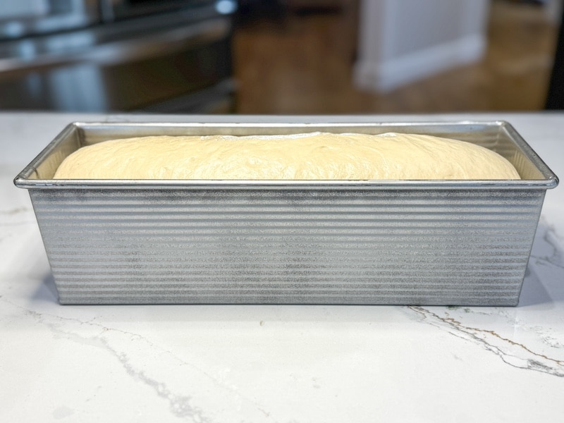 sourdough sandwhich bread recipe 1