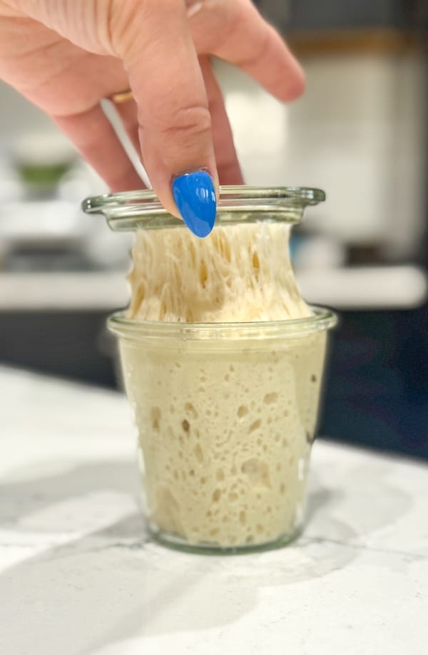 sourdough sandwhich bread recipe 6