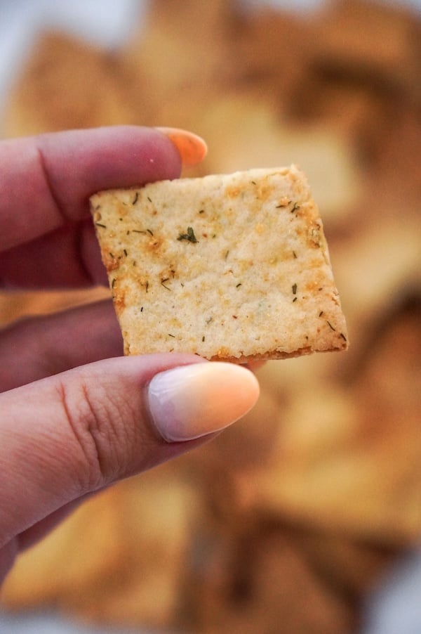 Fast & Easy Ranch Seasoning Sourdough Discard Crackers