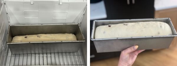 before and after second rise cinn raisin swirl