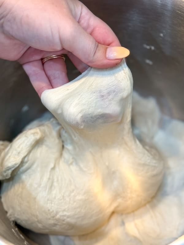 dough after initial mixing