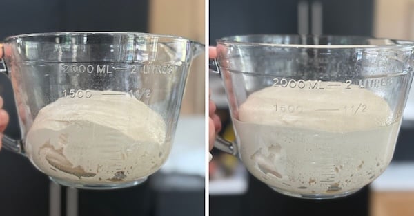 first rise same day wonderbread