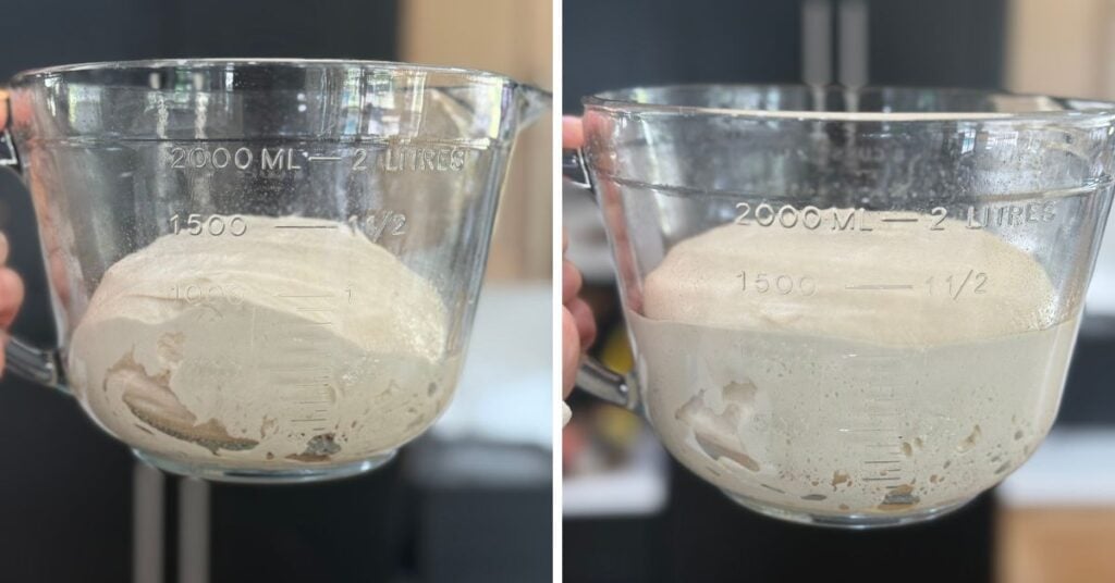 main dough before and after first proof