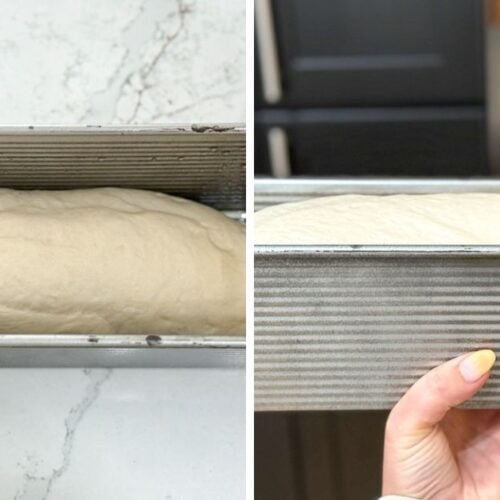 main dough before and after second proof