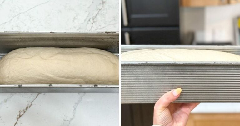 main dough before and after second proof