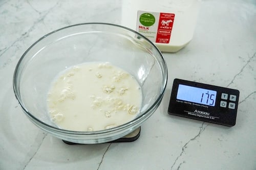 milk for tangzhong