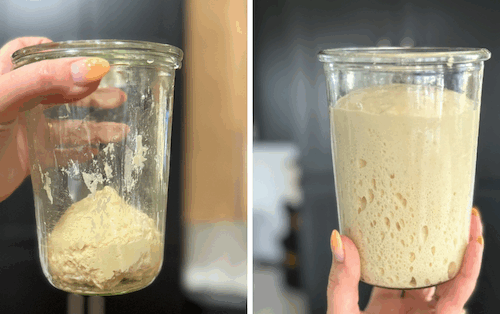 sweet stiff starter before and after