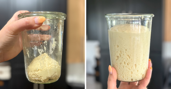 sweet stiff starter before and after
