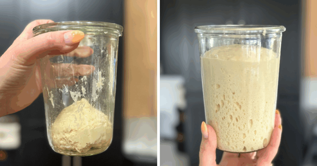 sweet stiff starter before and after