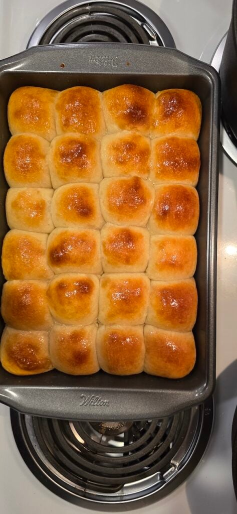 a pan of homemade hawaiian sourdough rolls