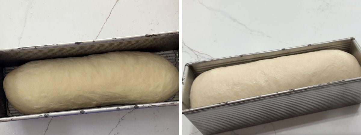 before after second rise wonderbread by hand