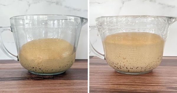 before and after first rise cinnamon rolls