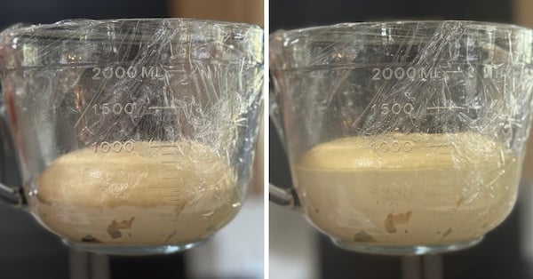 dough before after - hawaiian roll first rise