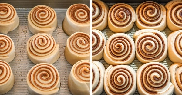 first and second rise cinny rolls