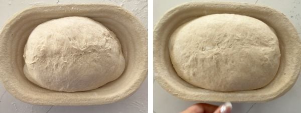 let dough rise before refrigerating if needed