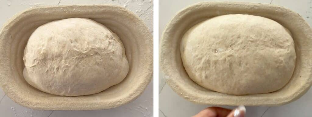 letting loaf rise a little more