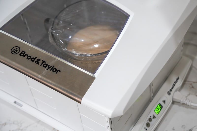 proofing box cinnamon rolls