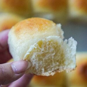 simple sourdough hawaiian rolls