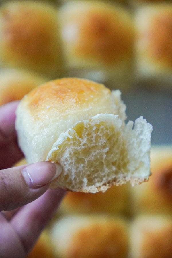 simple sourdough hawaiian rolls