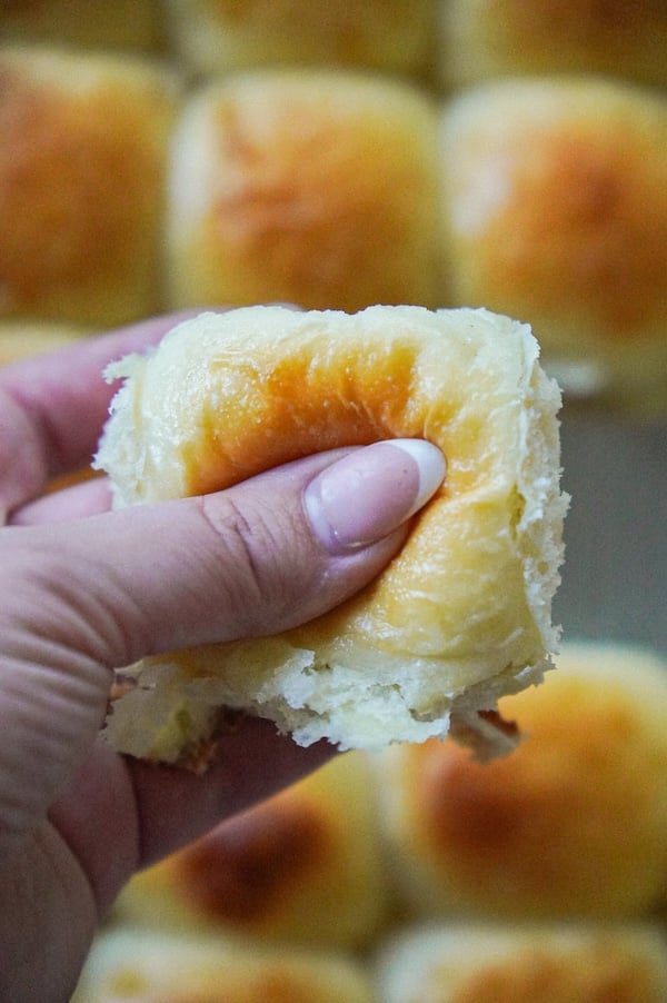 sourdough hawaiian rolls for beginners