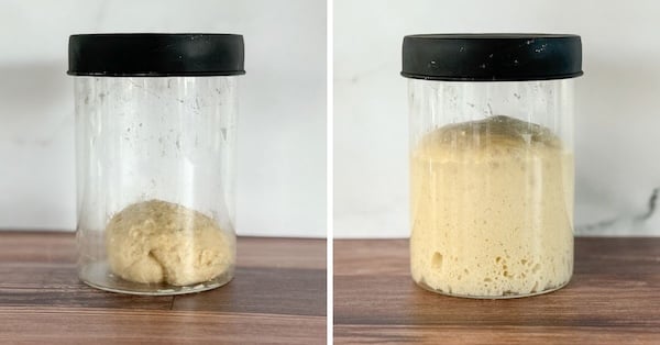 recipe card images - sweet stiff starter before and after for cinn rolls