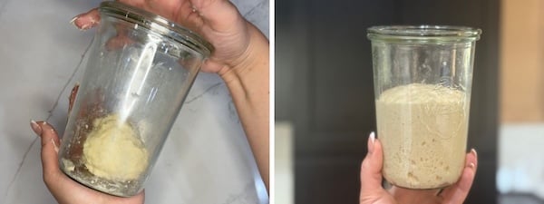 sweet stiff starter for hawaiian rolls