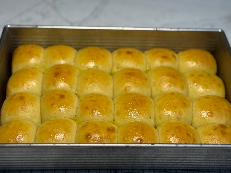 unhappy starter baked