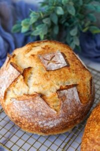 Sourdough Breads