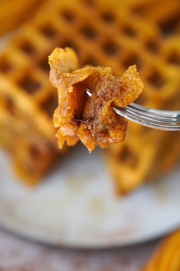The best pumpkin waffles with sourdough