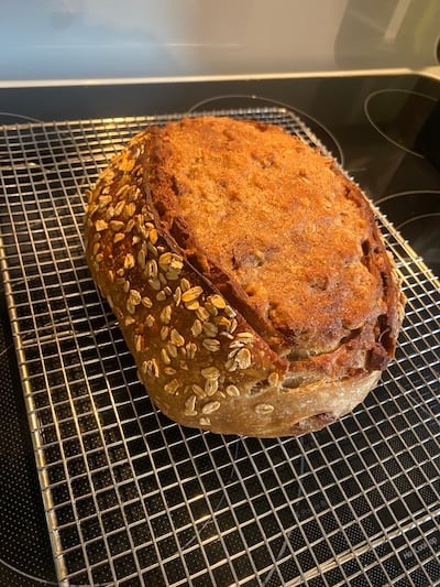 recipe testers apple cider loaf